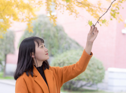 菲律宾旅行证补办的进度可以查吗